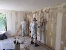 Asbestos and Lead Testing During Mold Inspection in Edinburgh, IN